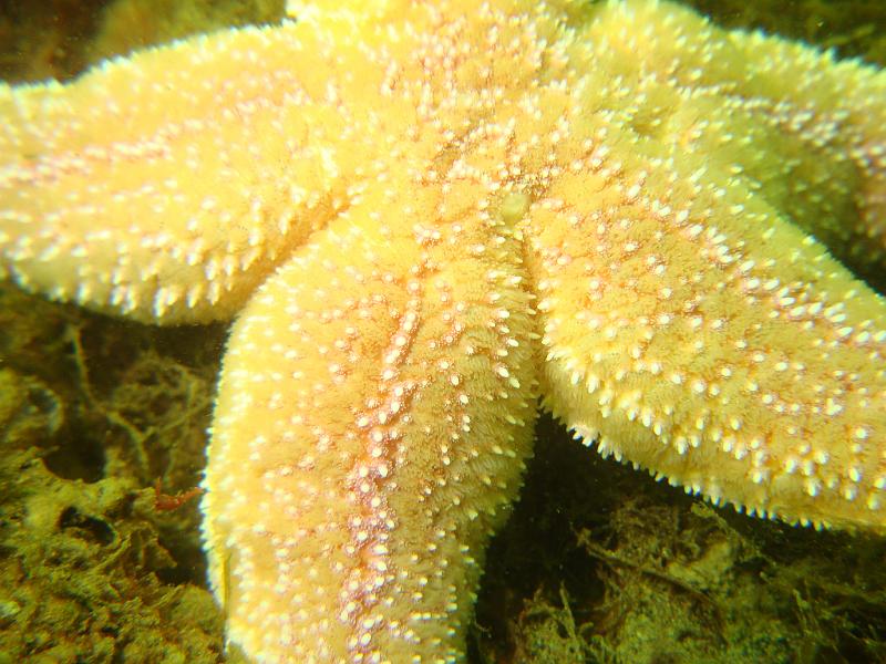 2009-05-02 10-35-33H.JPG